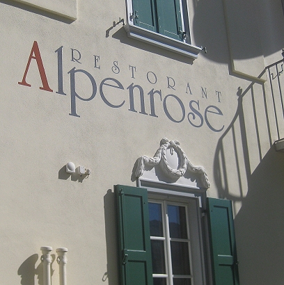 Alpenrose bei Silvaplana